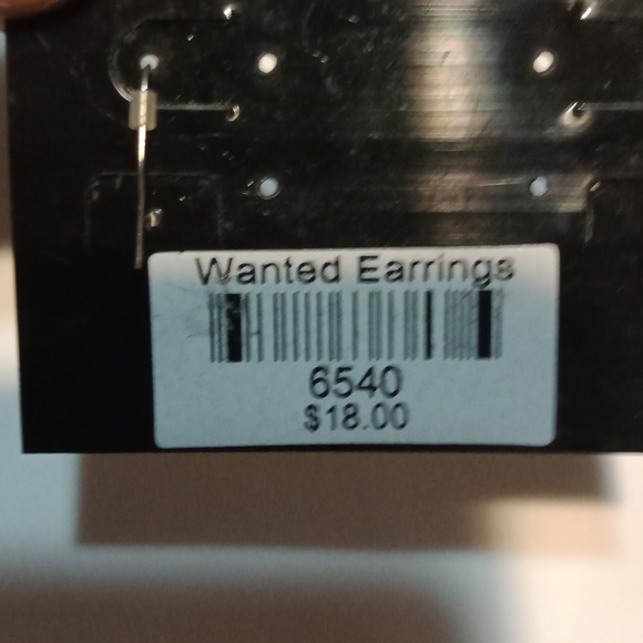 Traci Lynn Heart Shaped Wanted Crystal Earrings! - Picture 5 of 5